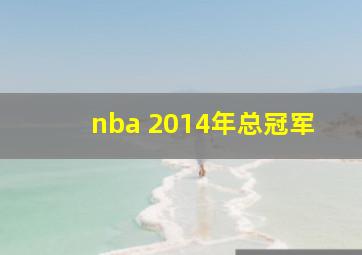 nba 2014年总冠军